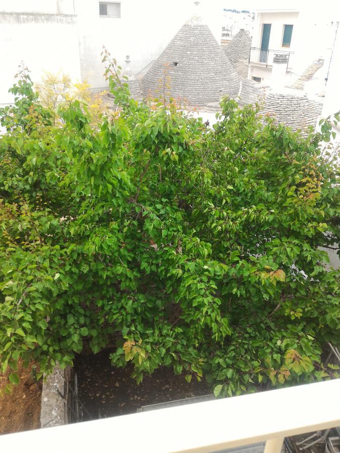 La Dimora Del Corso Bed & Breakfast Alberobello Exterior photo